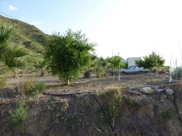 Terreno en Mojácar Pueblo