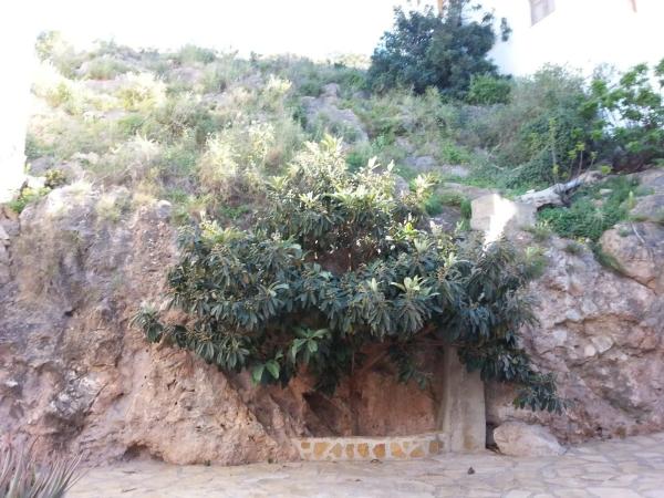 Terreno en calle del Barranco s/n