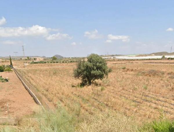 Terreno en carretera de los gallardos a mojácar s/n