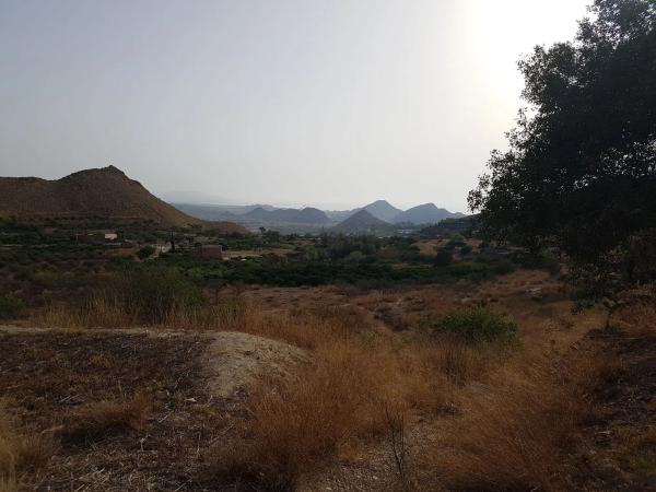 Terreno en La Alcantarilla s/n PagodeLaAlcantarilla