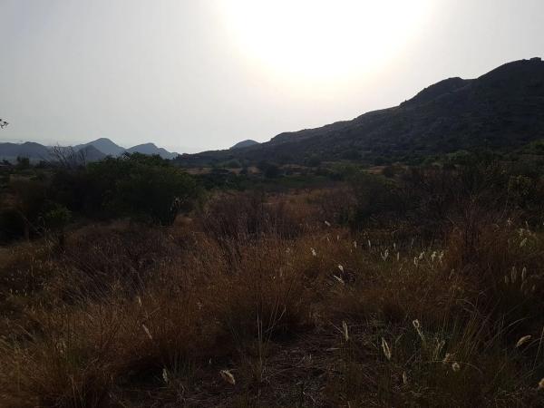 Terreno en La Alcantarilla s/n PagodeLaAlcantarilla