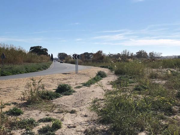 Terreno en Jara de Vera s/n