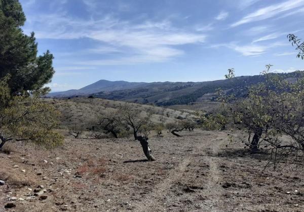 Terreno en calle Alhóndiga