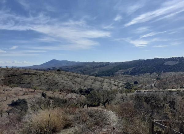 Terreno en calle Alhóndiga