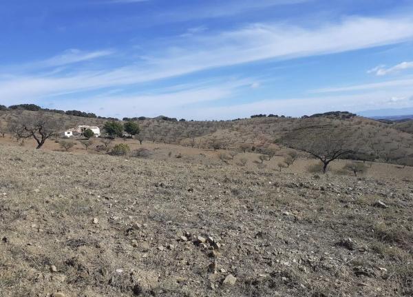 Terreno en calle Alhóndiga