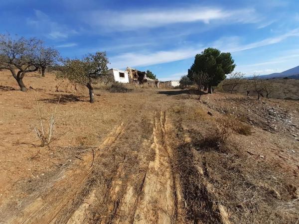 Terreno en calle Alhóndiga