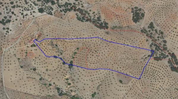 Terreno en calle Alhóndiga