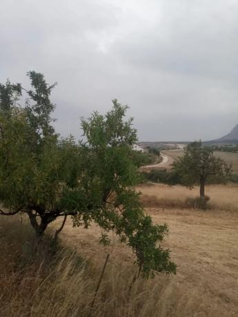 Terreno en Cortijo los Miras s/n