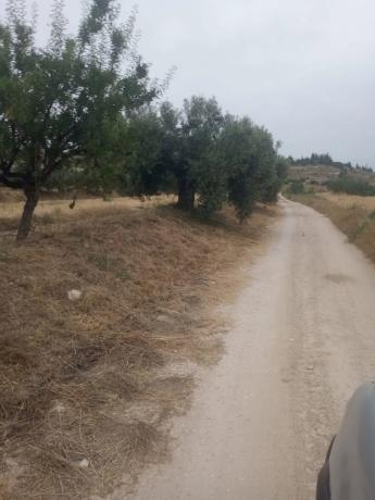 Terreno en Cortijo los Miras s/n