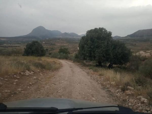 Terreno en Cortijo los Miras s/n