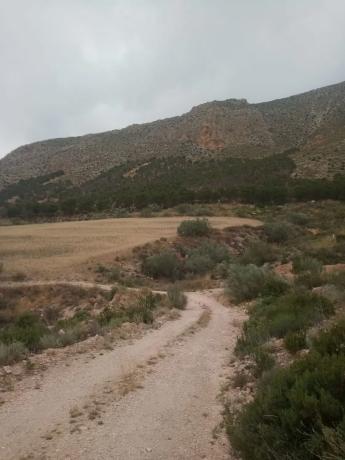 Terreno en Cortijo los Miras s/n