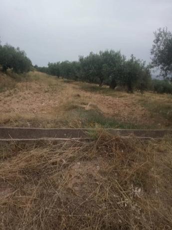 Terreno en Cortijo los Miras s/n