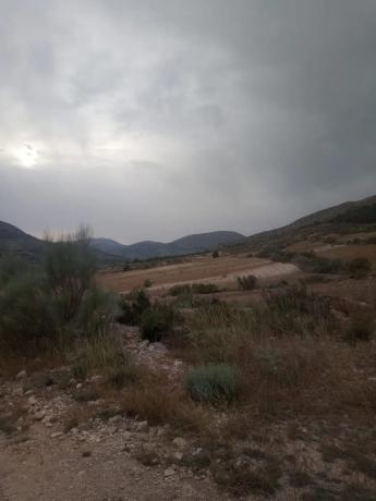 Terreno en Cortijo los Miras s/n