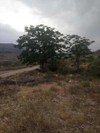 Terreno en Cortijo los Miras s/n