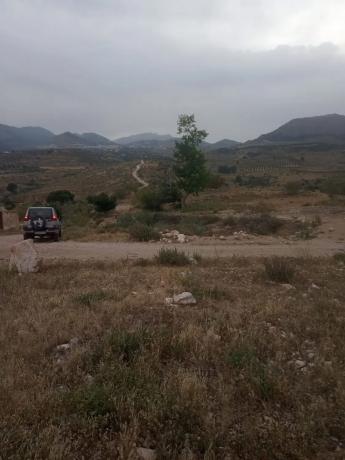 Terreno en Cortijo los Miras s/n