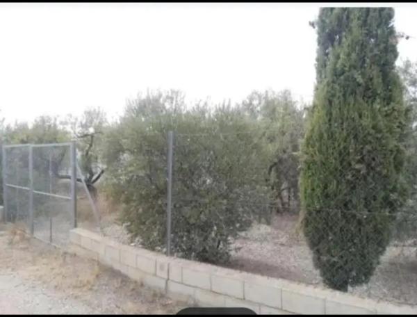 Terreno en A-92n, km 7