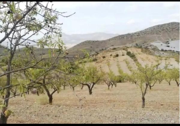 Terreno en A-92n, km 7