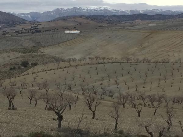Terreno en Br Rambla Bancalejo, 107