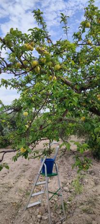 Terreno en calle Balsa Parra, 4
