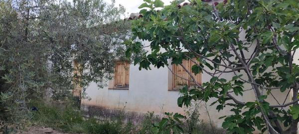 Terreno en calle Balsa Parra, 4