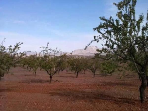 Terreno en plaza de la Encarnacion