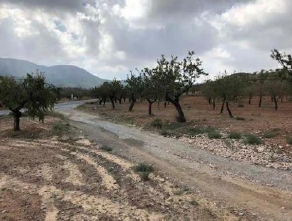 Terreno en plaza de la Encarnacion