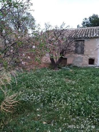 Terreno en camino los serranos s/n
