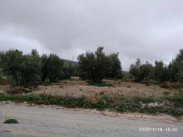 Terreno en camino los serranos s/n