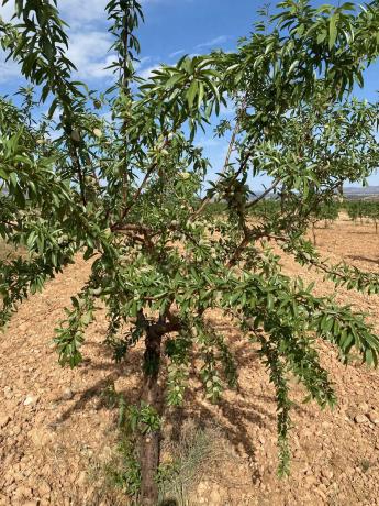 Terreno en avenida de Andalucía, 166