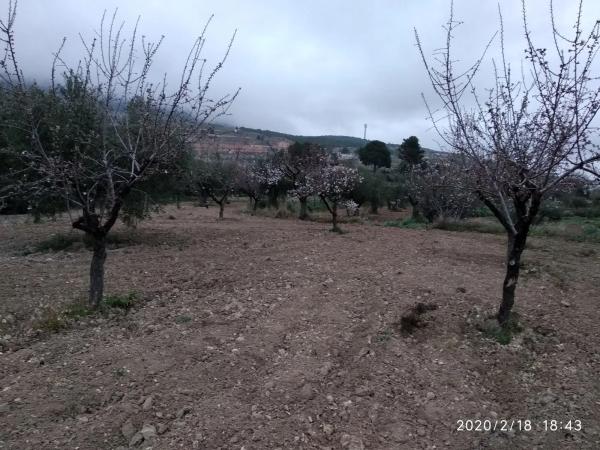 Terreno en camino los serranos s/n