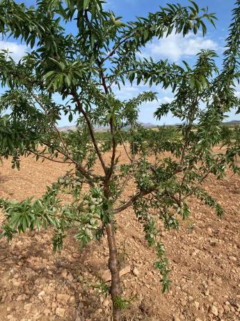 Terreno en avenida de Andalucía, 166