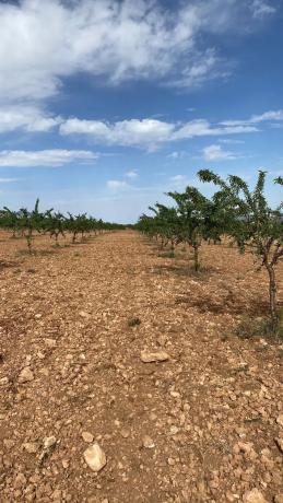 Terreno en avenida de Andalucía, 166