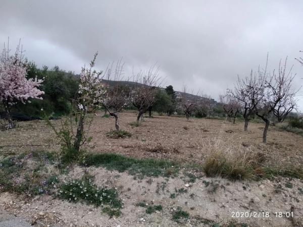 Terreno en camino los serranos s/n