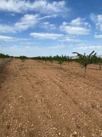 Terreno en avenida de Andalucía, 166