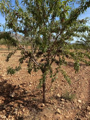Terreno en avenida de Andalucía, 166