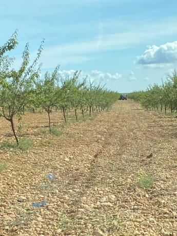 Terreno en avenida de Andalucía, 166
