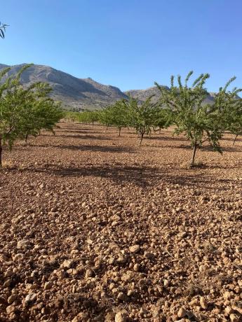 Terreno en avenida de Andalucía, 166