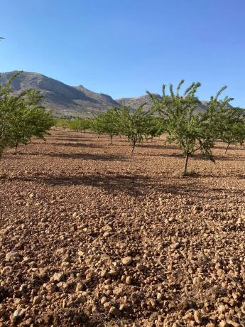 Terreno en avenida de Andalucía, 166