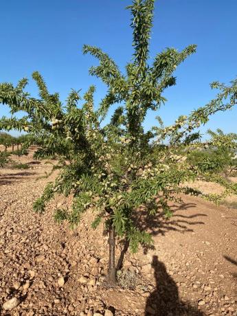 Terreno en avenida de Andalucía, 166
