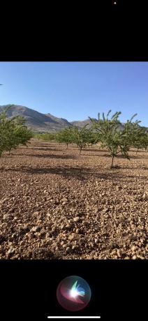 Terreno en avenida de Andalucía, 166