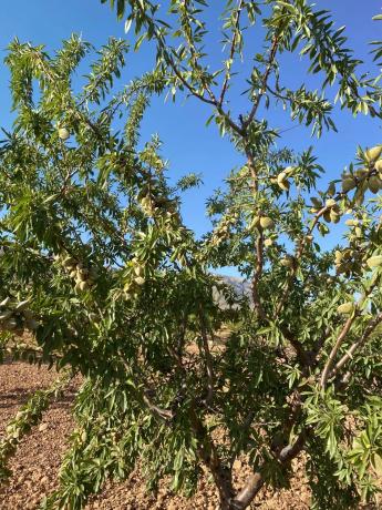Terreno en avenida de Andalucía, 166
