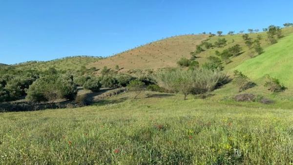 Terreno en Paraje Viota s/n