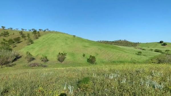 Terreno en Paraje Viota s/n