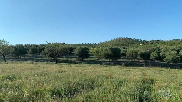 Terreno en Paraje Viota s/n