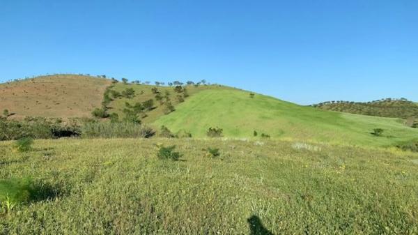 Terreno en Paraje Viota s/n