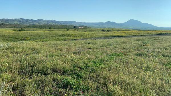 Terreno en Paraje Viota s/n