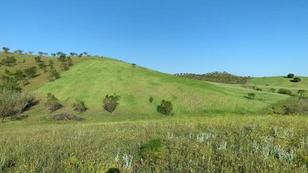 Terreno en Paraje Viota s/n