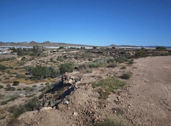 Terreno en ronda de El Viso, 100