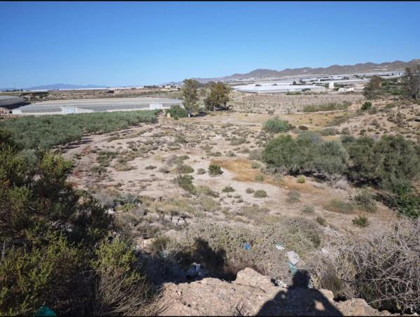 Terreno en ronda de El Viso, 100