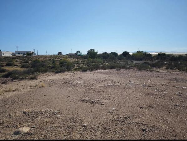 Terreno en ronda de El Viso, 100